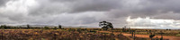 Rain Clouds, Near Orrorro, South Australia