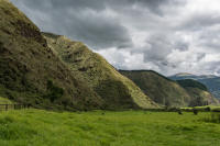 Condor Valley, Zuleta